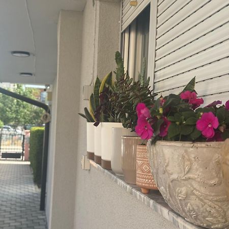 Vila Bolonja Struga Zewnętrze zdjęcie