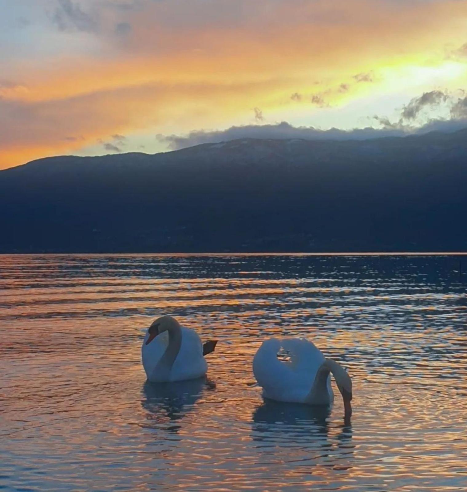 Vila Bolonja Struga Zewnętrze zdjęcie
