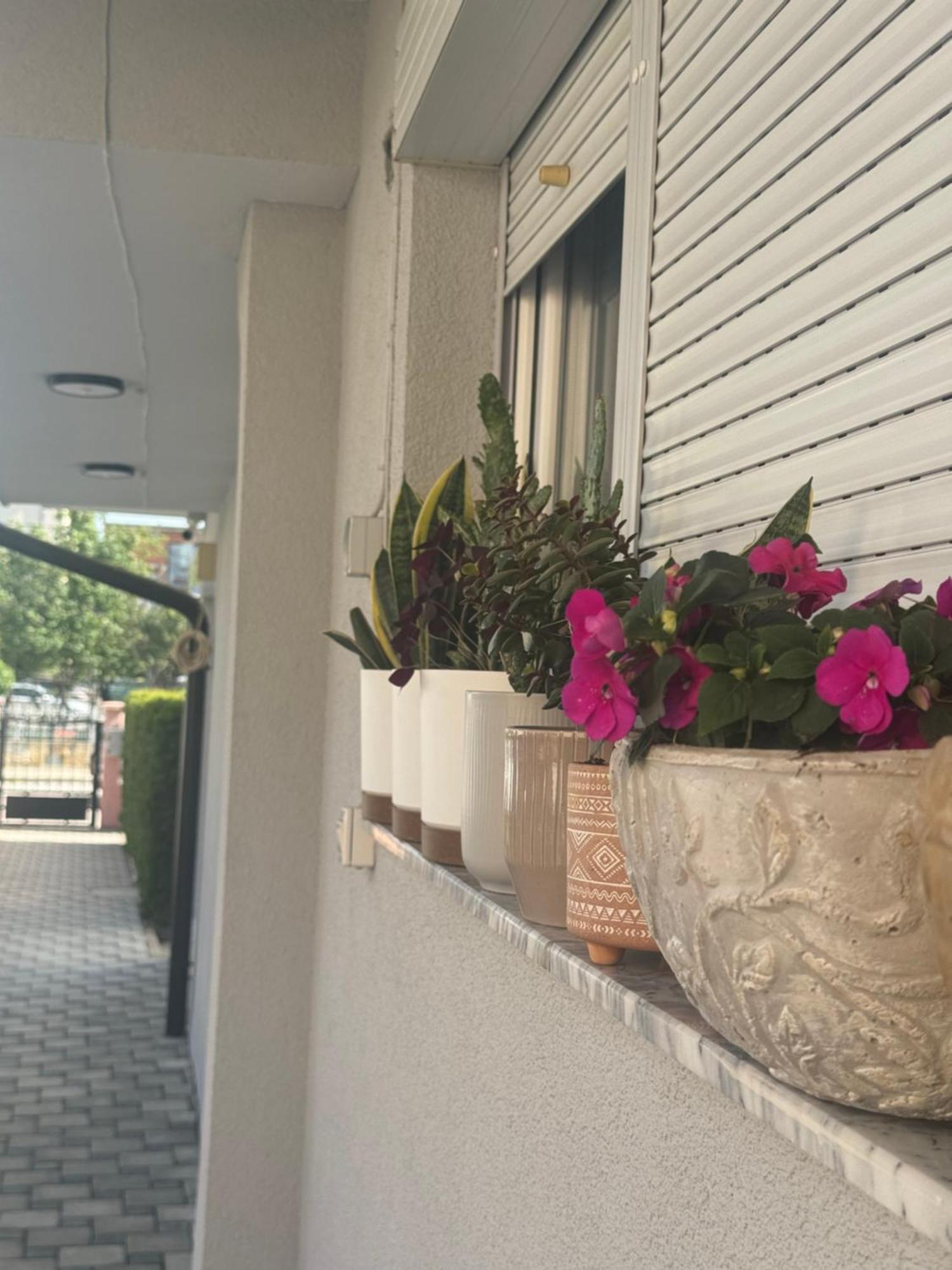 Vila Bolonja Struga Zewnętrze zdjęcie