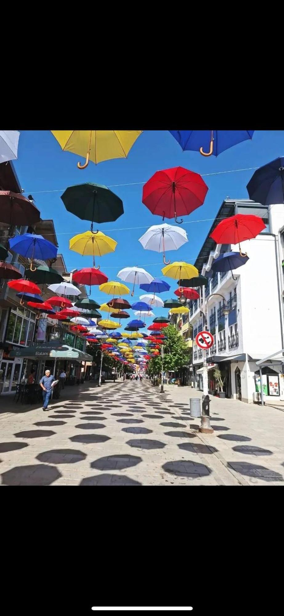 Vila Bolonja Struga Zewnętrze zdjęcie